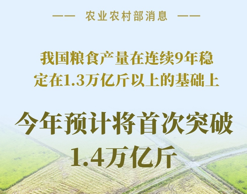 預(yù)計將首次突破1.4萬億斤！數(shù)據(jù)看“大國糧倉”的底氣