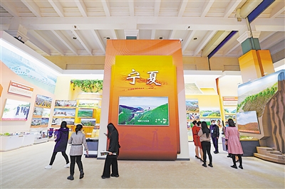 寧夏展區(qū)借助實物、模型、圖片、裸眼3D技術(shù)等，展示了黨的十八大以來寧夏所取得的不凡成就。