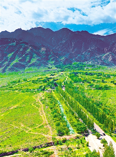     綠色——賀蘭山，寧夏的父親山。隨著近年來(lái)賀蘭山生態(tài)保衛(wèi)戰(zhàn)的打響，賀蘭山生態(tài)逐步恢復(fù)，是寧夏踐行“綠水青山就是金山銀山”理念的生動(dòng)寫(xiě)照。     本報(bào)記者 馬楠 攝