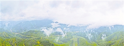     清晨，薄霧籠罩六盤山。