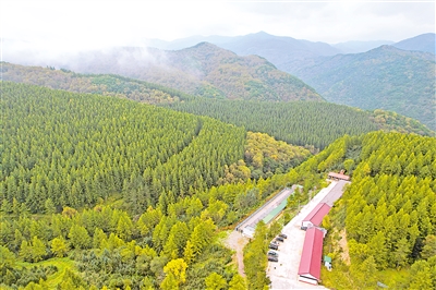     位于六盤山國家森林公園內的王化南護林點。