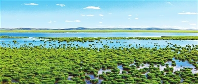 四川省阿壩州若爾蓋花湖濕地國(guó)家級(jí)自然保護(hù)區(qū)。<br/>　?。ㄈ魻柹w攝影家協(xié)會(huì)供圖）